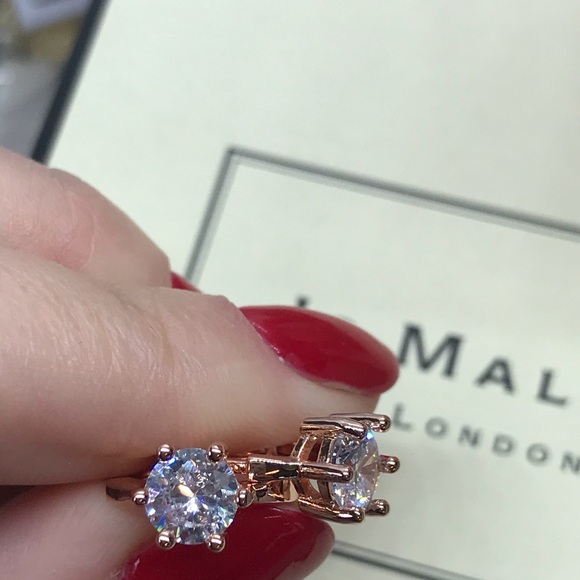 Rose Gold Plated Hoop Earrings - Picture 4 of 5